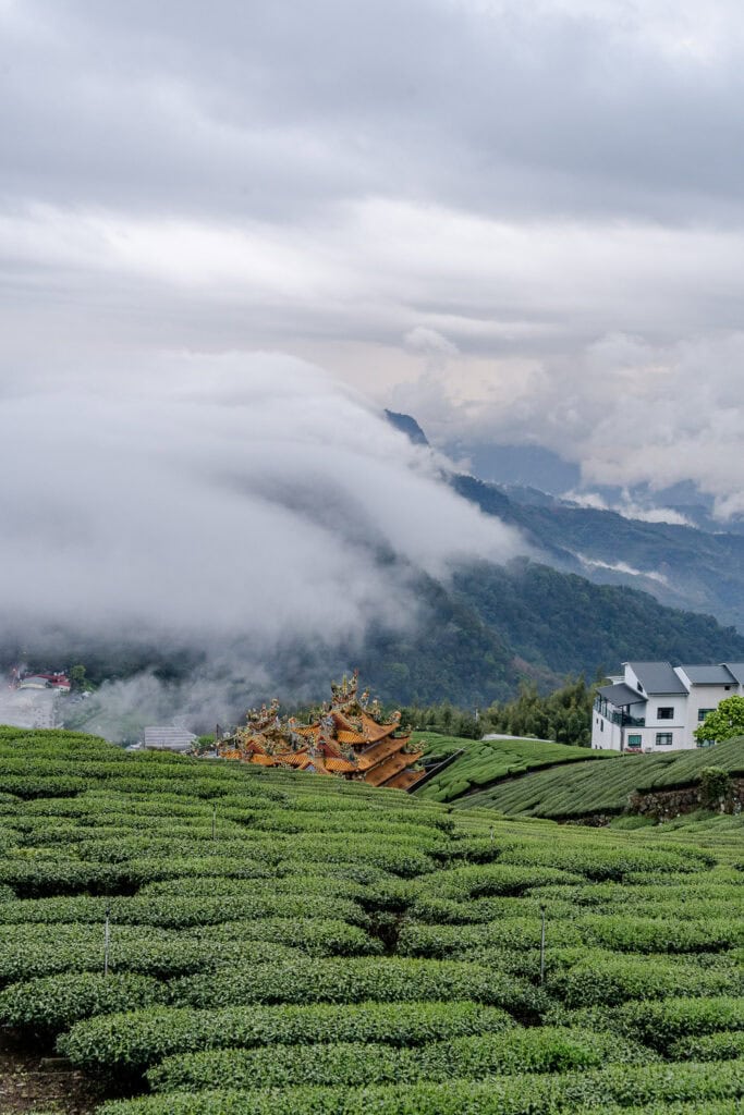 Rondreis Taiwan in 3 weken - Alishan