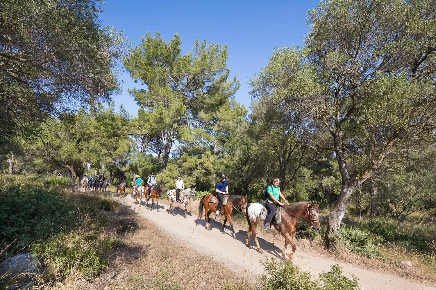 Doein in Mallorca - paardrijden Manawa