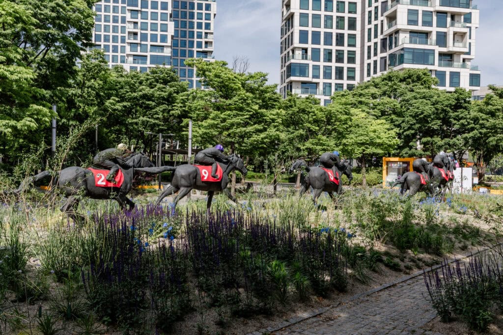 Doen in Seoul - Forest Park