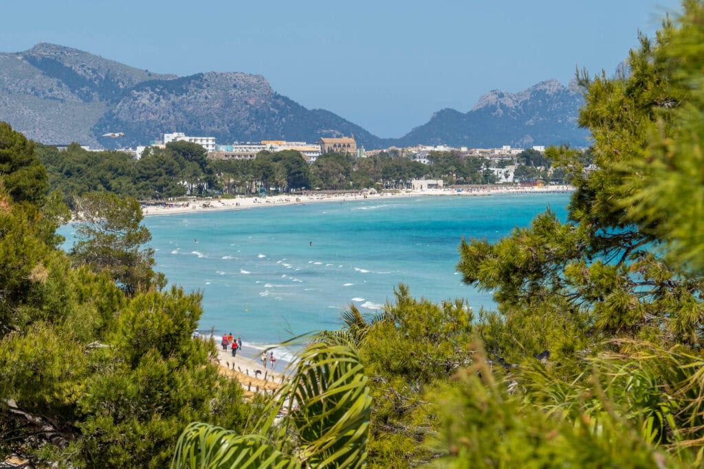 Doen in Alcúdia - uitzicht op kathedraal