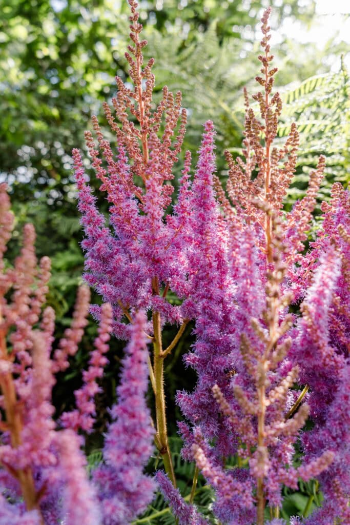 Doen in Edinburgh - Royal Botanic Garden