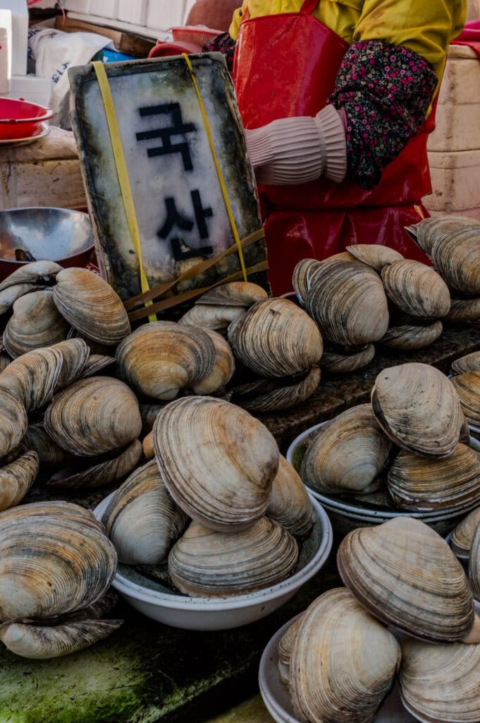 Wat te doen in Busan 0 Jagalchi vismarkt