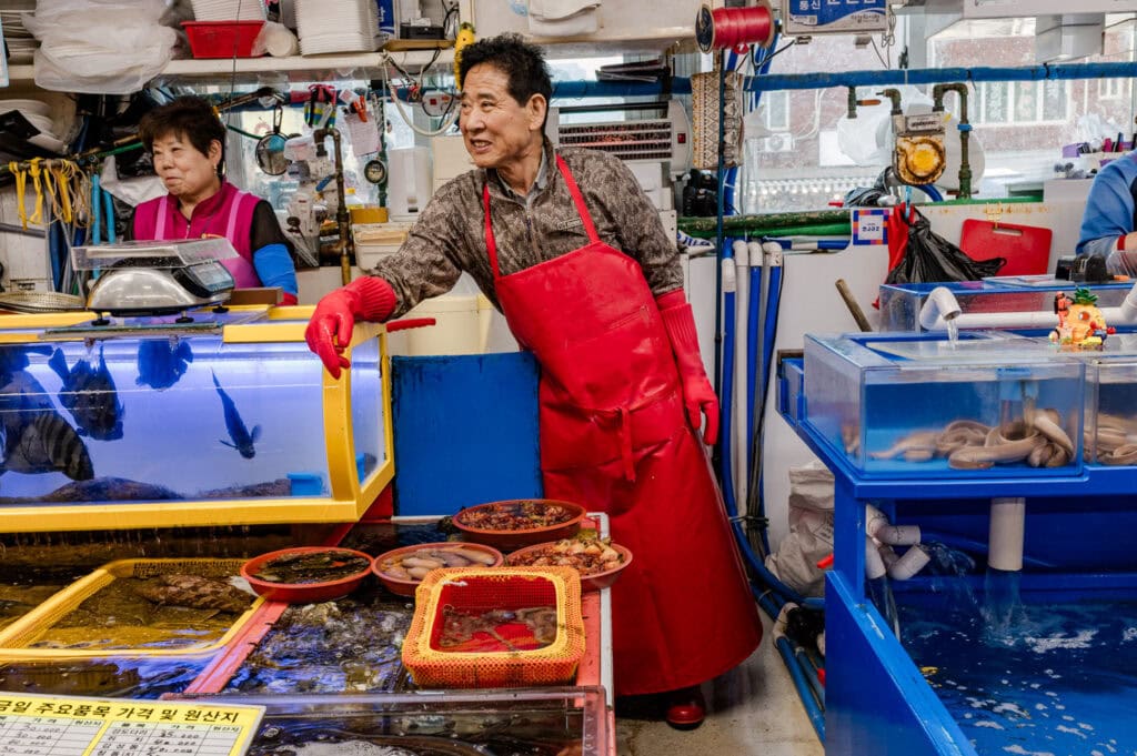 Wat te doen in Busan 0 Jagalchi vismarkt