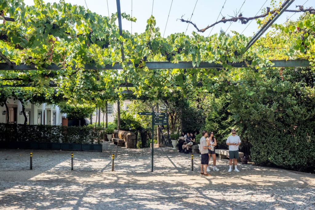 Doen in Porto - Port proeven