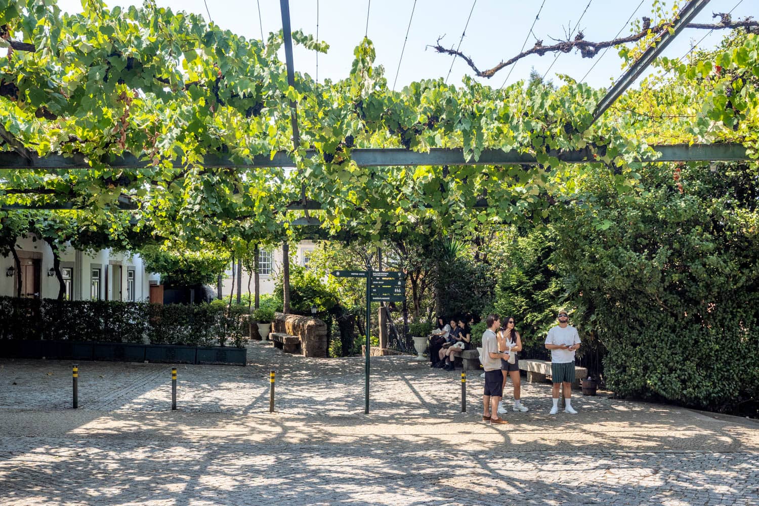 Doen in Porto - Port proeven