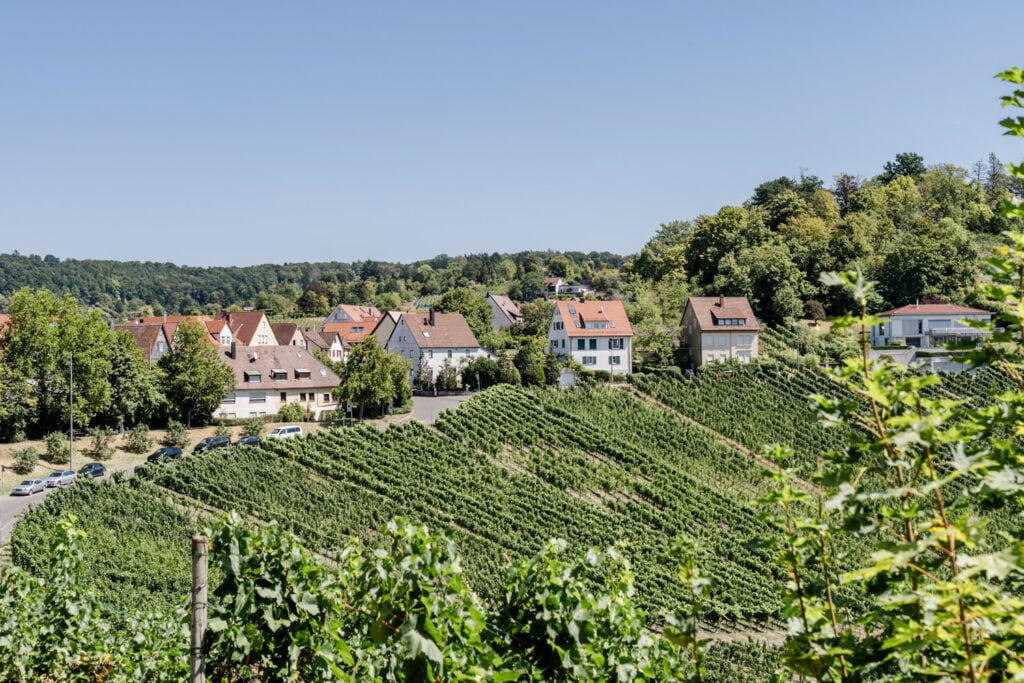 Wat te doen in Stuttgart - Viniculture Museum