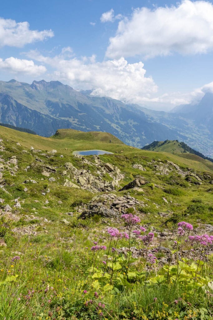 Jungfrau regio - Panorama trail Mãnnlichen Kleine Scheidegg