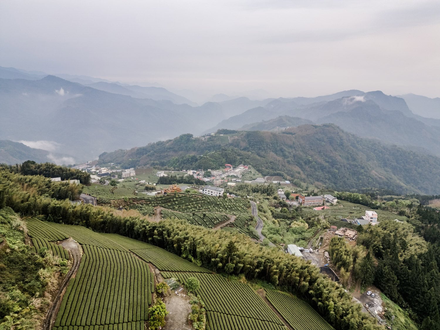 Alishan Taiwan
