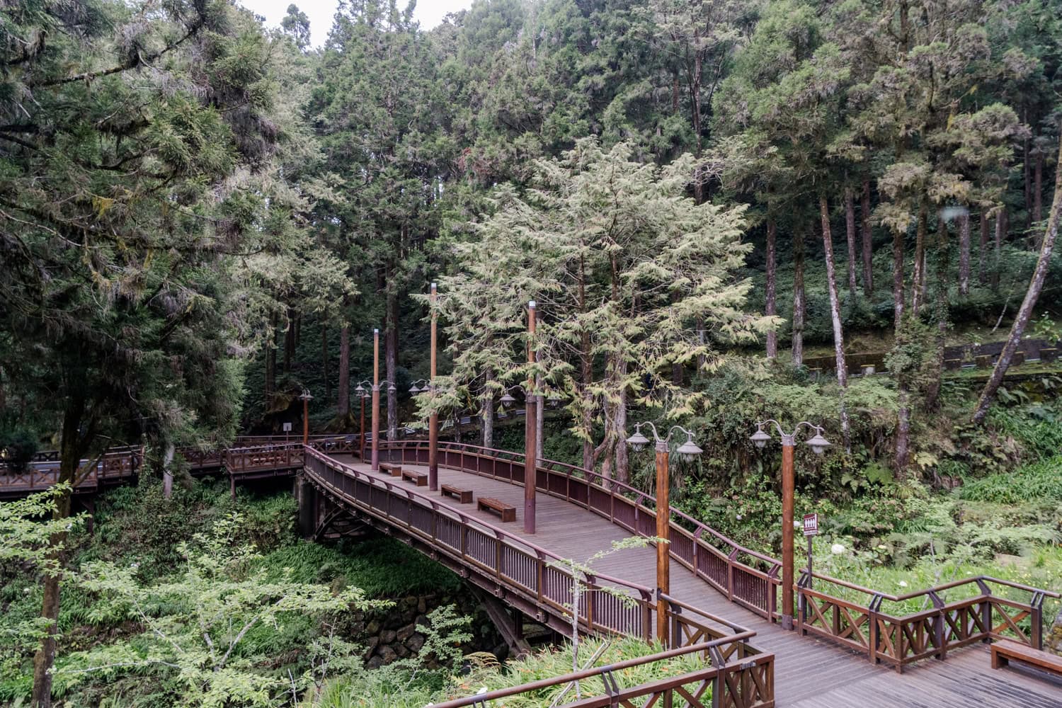Alishan