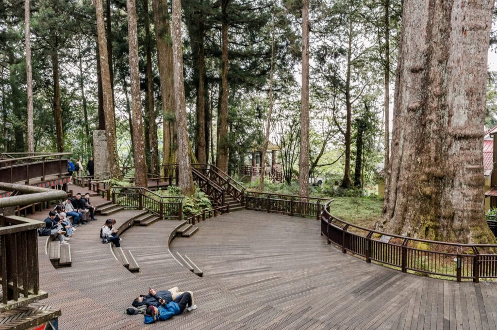 Xiangling Giant Tree