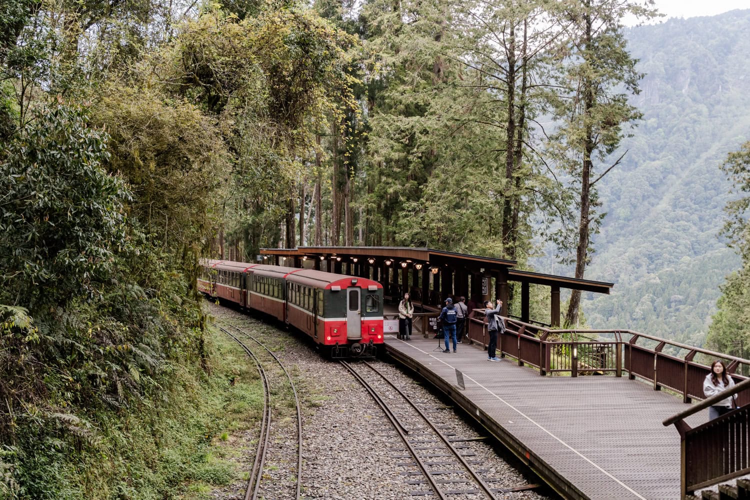 Tips Alishan Taiwan