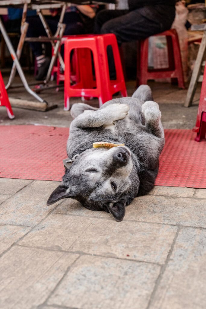 Fenqihu