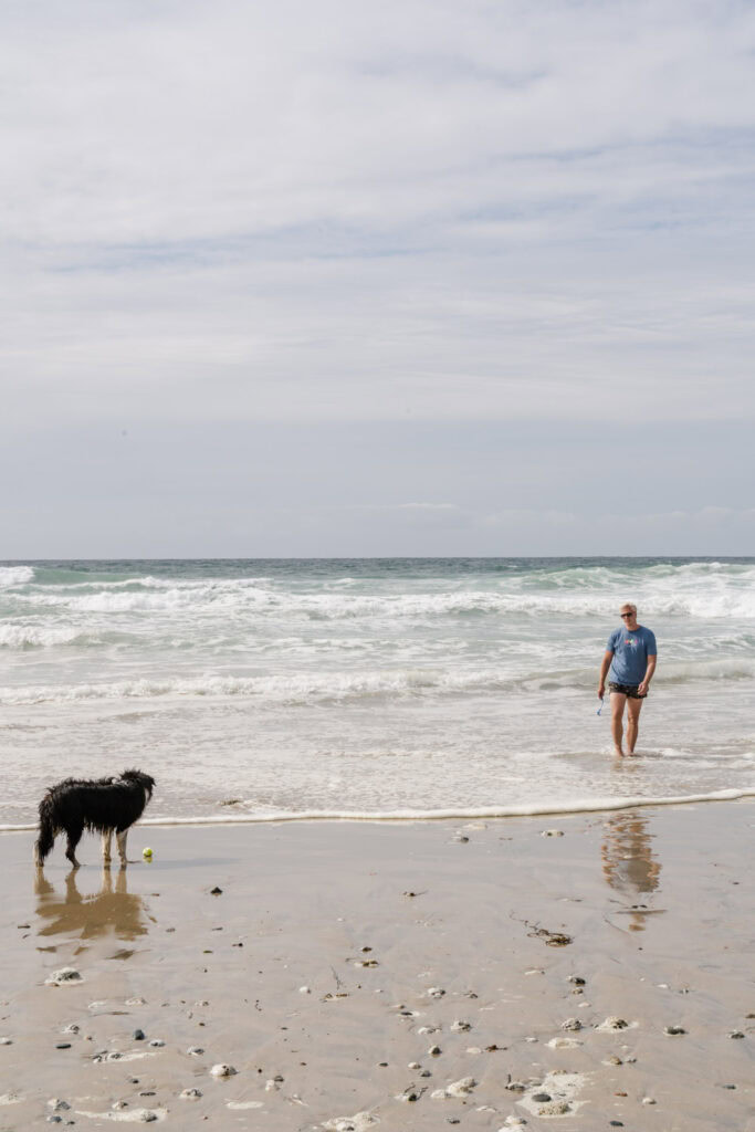 Hond mee naar Engeland