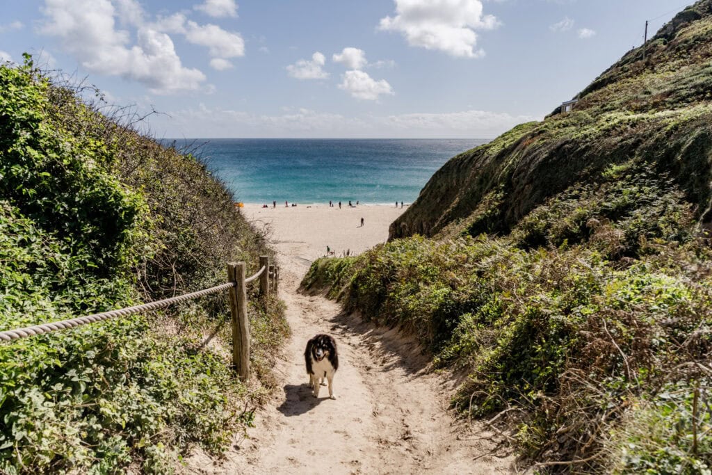 Hond op het strand in Engeland