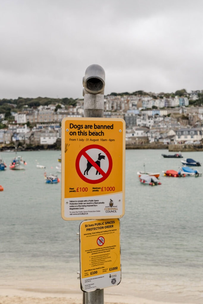 Hond op het strand in Engeland