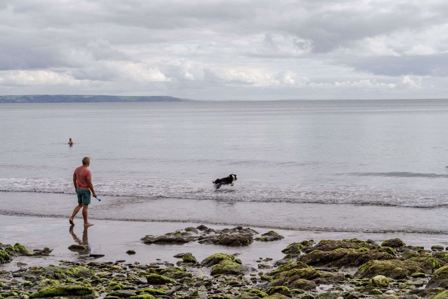Naar Engeland met je hond