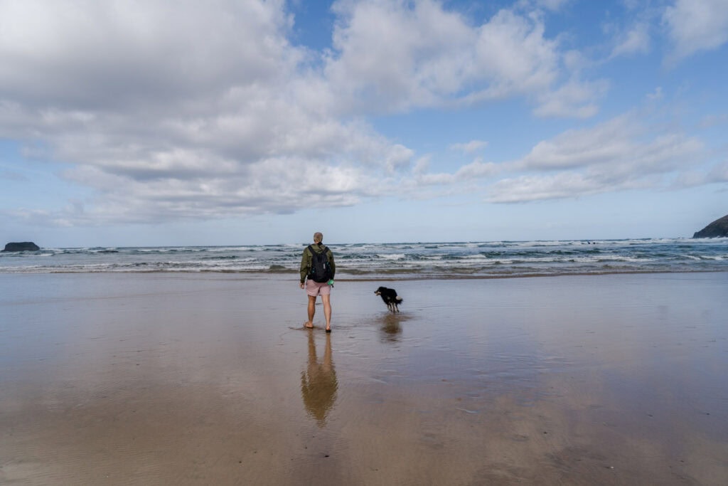 Hond mee naar Engeland