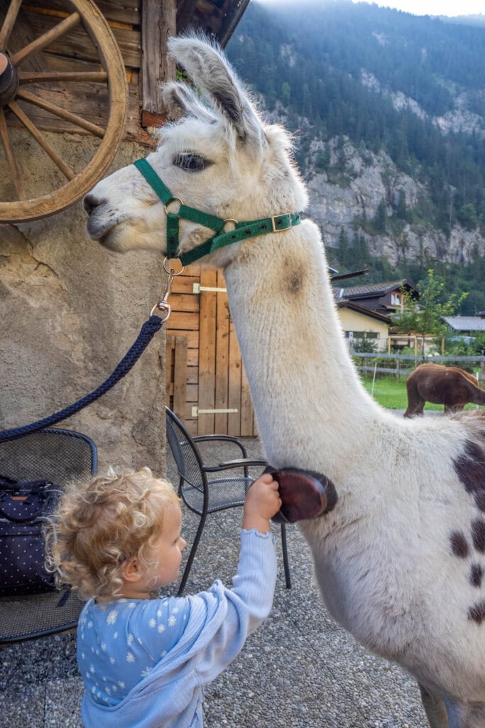 Lauterbrunnen - LAMPACA