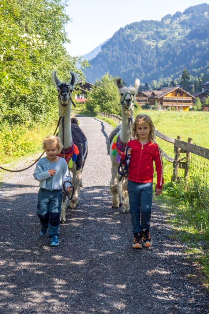 Lauterbrunnen - LAMPACA