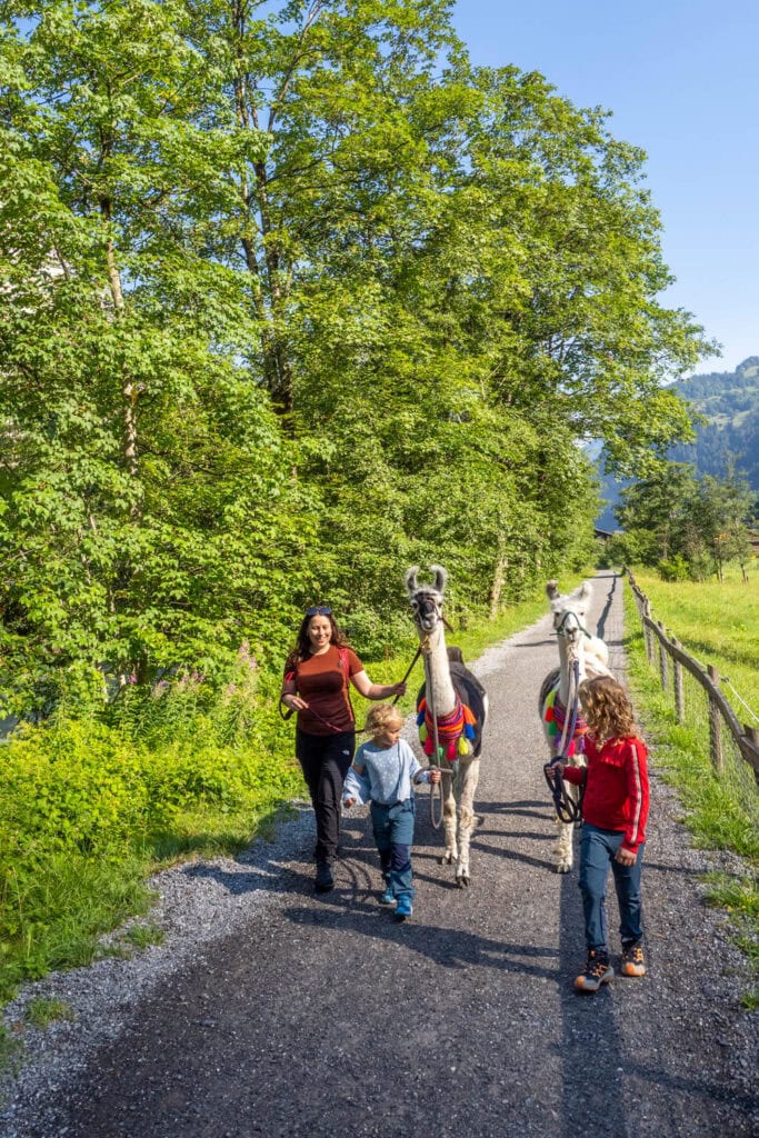 Lauterbrunnen - LAMPACA