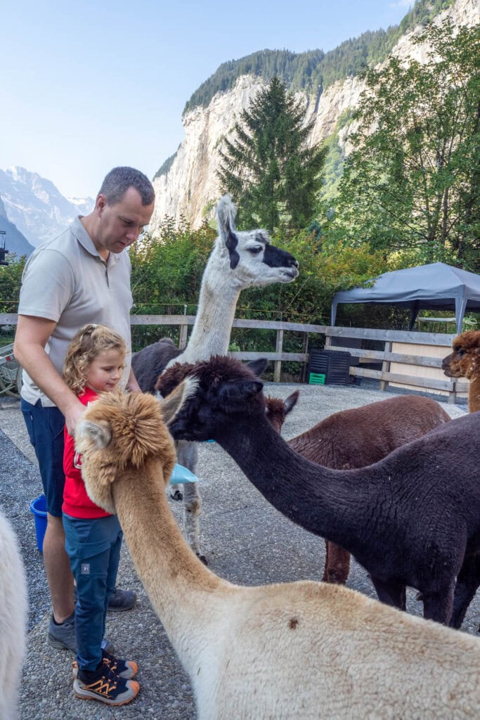 Lauterbrunnen - LAMPACA