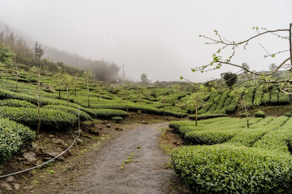 Shizhuo in Alishan