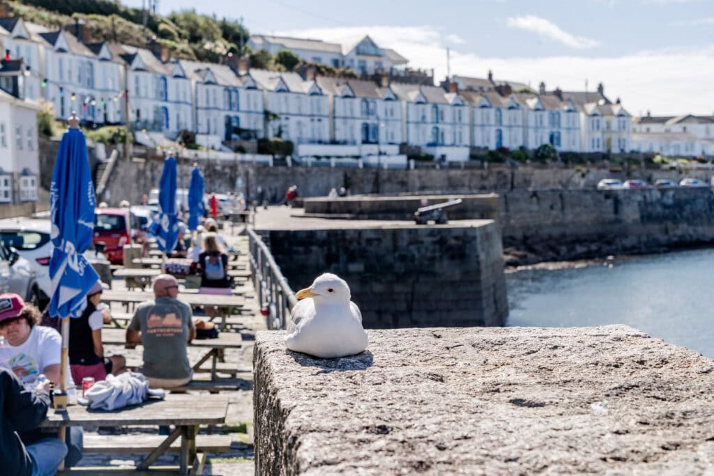 Waar te verblijven in Cornwall - Porthleven