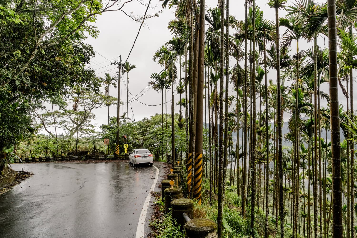 Auto rijden in Alishan