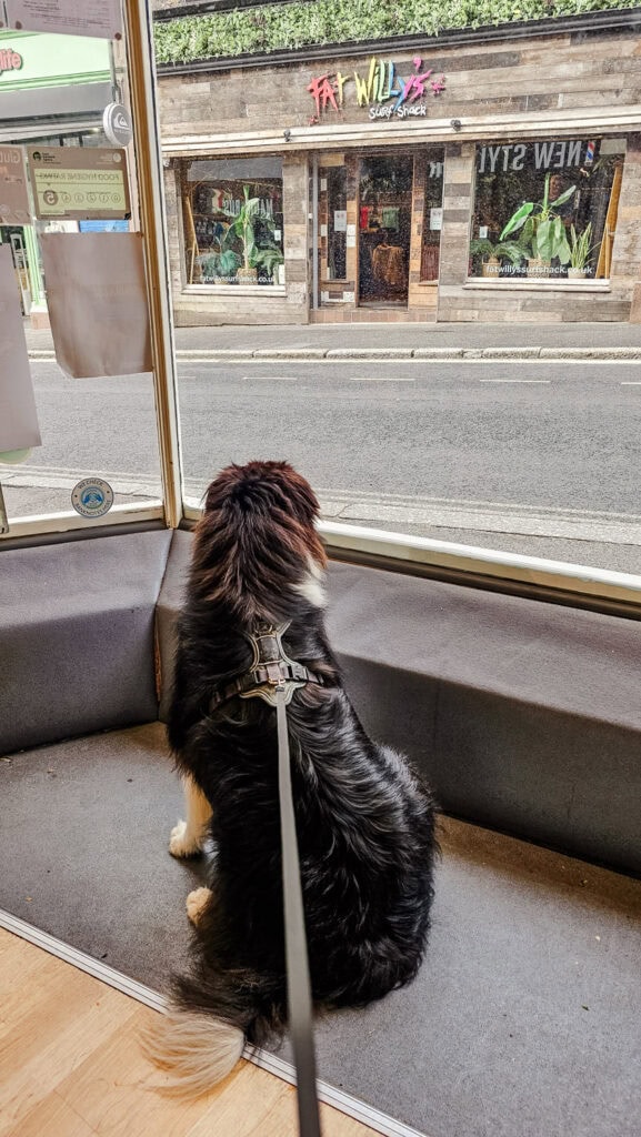 Hond in horeca in Engeland